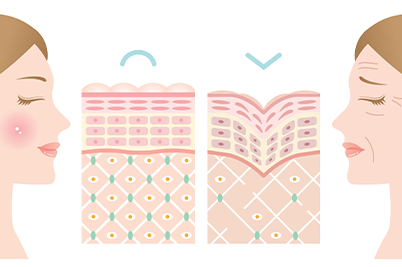 顔のたるみの原因